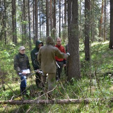 Тренинг по сбору полевых данных для инвентаризации лесов методом ЛиДАР и обработка в АрбоЛиДАР