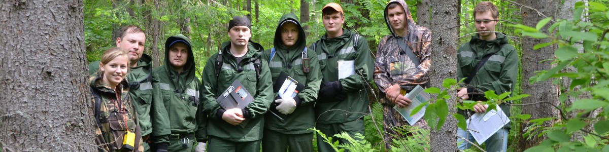 Тренировка таксаторов в Чусовском лесничестве