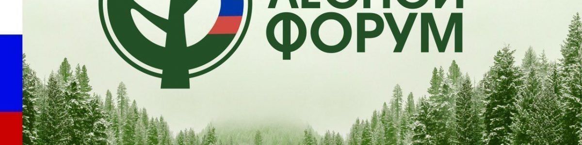 Пьянков С.В. принял участие во Всероссийском конгрессе «Лесной форум»
