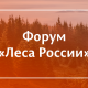 Всероссийский форум «Леса России»